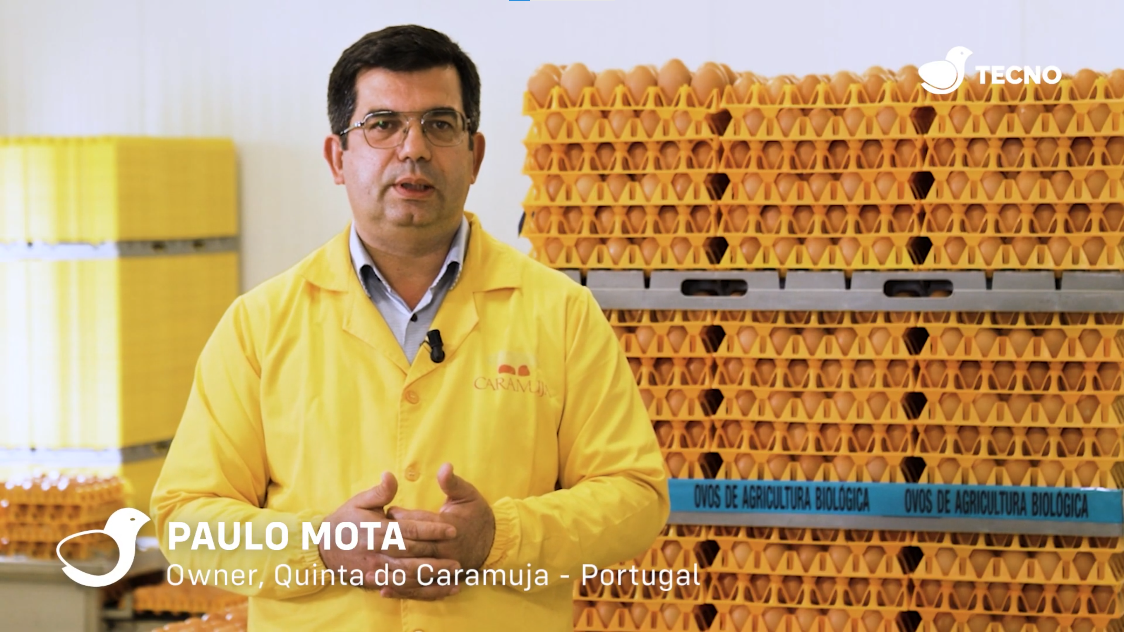 client-eggs-tecno-logo.png