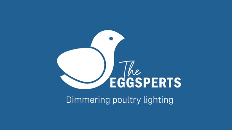 dimmering-poultry-lighting.jpg