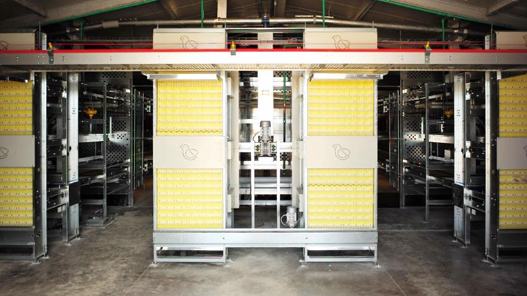 Puglia--egg-poultry-farm