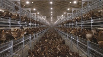 Loggia System in Italy